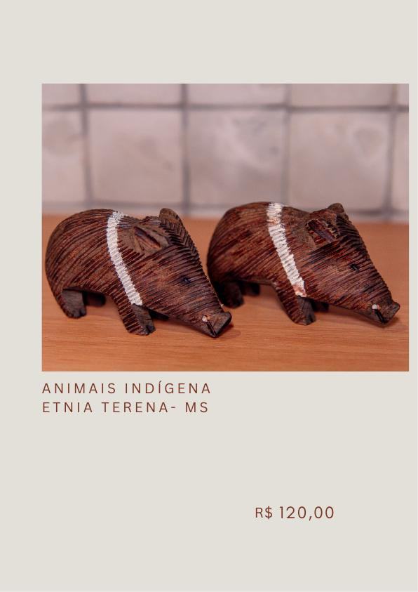 Animal indígena Terena 04